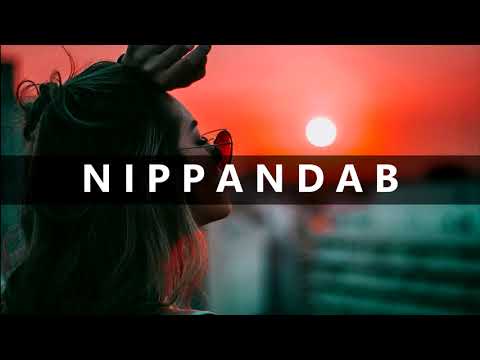 Jay Sean - Ride It (Nippandab Remix) | Official Remix (Audio)