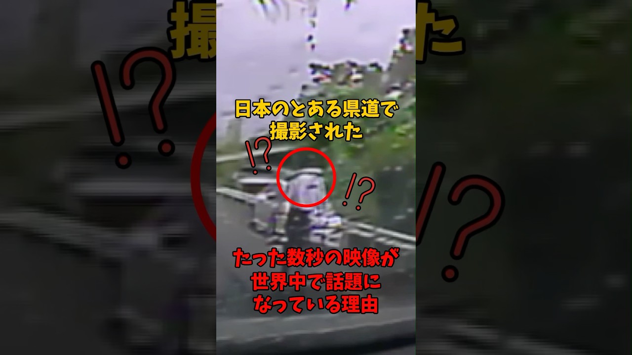 日本のとある県道で撮影されたたった数秒の映像が世界中で話題になっている理由