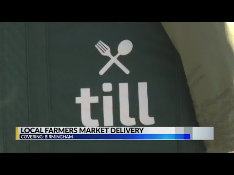 download lagu mp3 mp4 Farmer Market Delivery Service, download lagu Farmer Market Delivery Service gratis, unduh video klip Farmer Market Delivery Service