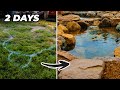 Building a Pond from Scratch just in 2 Days!