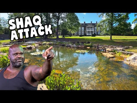 Shaquille O'Neal Pond UPDATE