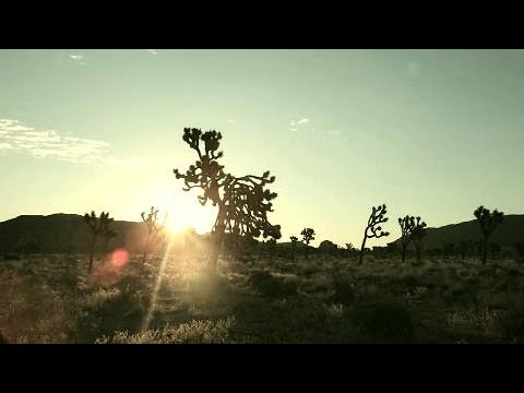 The Blue Prison - Zenith [Music Video]