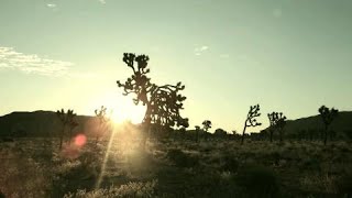 The Blue Prison - Zenith [Music Video]