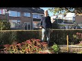 Gemeente Lopik claimt vele vierkante meters tuin van inwoners [RTV Utrecht]