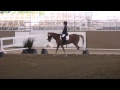 Emily And Goldie Mid Winter Dressage Burbank 02 27