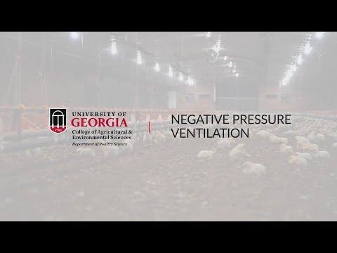 Intro to Modern Broiler Production. (10) Negative Pressure Ventilation