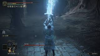 【死の騎士】おぎちょんの「ELDEN RING SHADOW OF THE ERDTREE」 #14