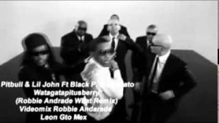 Watagatapitusberry - Pitbull &amp; Varios (Robbie Andrade What Remix Y Vrmx)