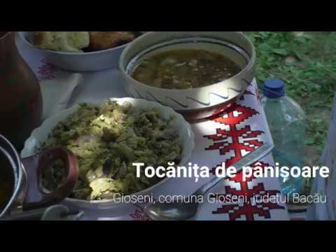 Gioseni, Tocăniță de pânișoare Rețetă pregătita  eCULTFOOD