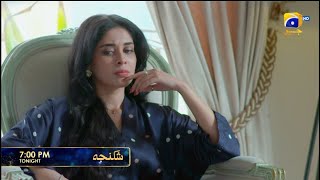 Shikanja Episode 10 Promo | Tonight at 7:00 PM only on Har Pal Geo