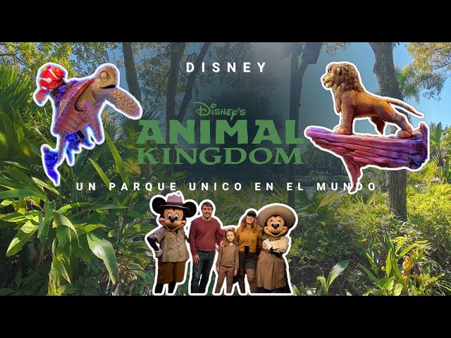 Vídeo relacionado con Zoo Crew Safari Animal Kingdom Zoo Keeper Niños Camiseta