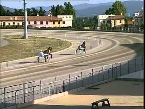 IPPODROMO DEI PINI - Prova di riqualifica 4 anni