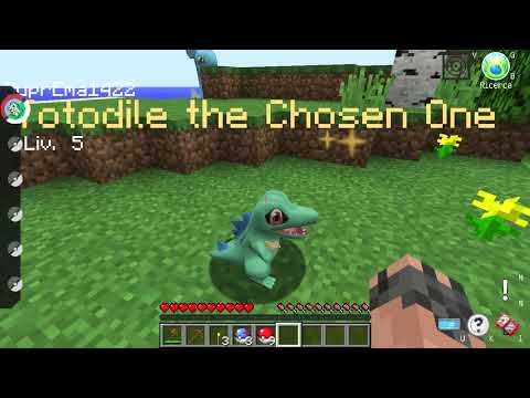 HO TROVATO UNO SHINY COME STARTER!!!! Pixelmon ita
