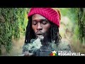 Jesse Royal Gimmie Likkle Finally Official Video 2015