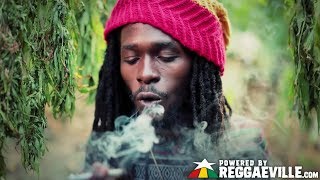 Jesse Royal - Gimmie Likkle / Finally Official Vid