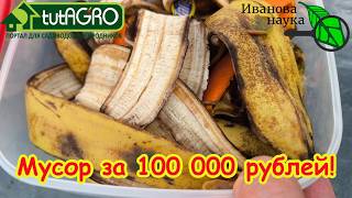 Ваши соседи выбрасывают миллионы! Как превратить мусор в деньги: полностью р