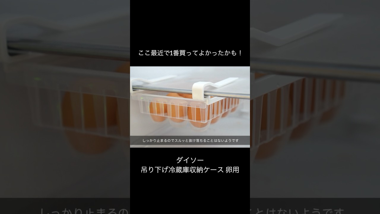 買って良かったダイソーの神アイテム #shorts #冷蔵庫収納