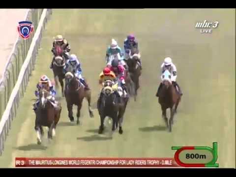 2015.12.06 Longines World Fegentri Championship for Lady Riders Trophy (MRI) - Tiger Master