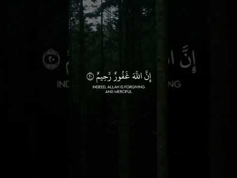 #trending #travel #explore #trend #night #hashtag