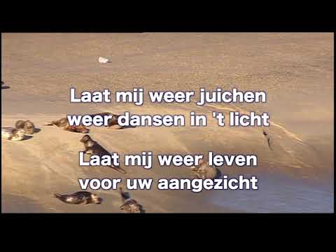 Opwekking 811 Witter dan sneeuw