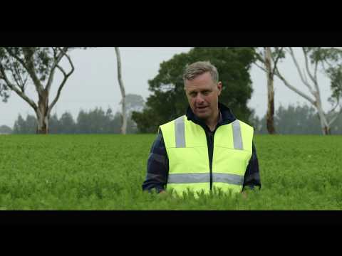 The Ultimate Renewable 30sec TV ad