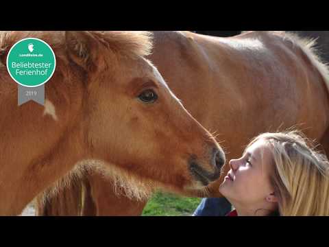 Beliebtester Ferienhof 2019 in Brandenburg: Der Rüsterhof