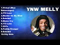 YNW Melly Full Album Beautiful Songs Popular Songs