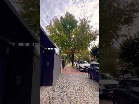 San Isidro 🇦🇷 Argentina #walk #travel #nature #walk #shorts #walking #tour #apata #caminata #caba