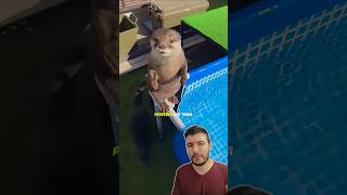 A Lontra Ficou TRISTE com a Piscina CONGELADA! 🦦