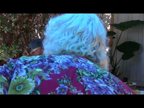 2015-08-29 NSSAT NSDRM Dream Exploration: JulieH; Benefits of Parmenides Study; Republic and Sophis