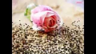 Download lagu Merry Andani - Kini Baru Kau Rasa (Dangdut Remix) Slideshows mp3