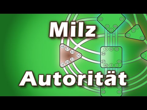 Milz Autorität im Human Design - Dein Instinkt