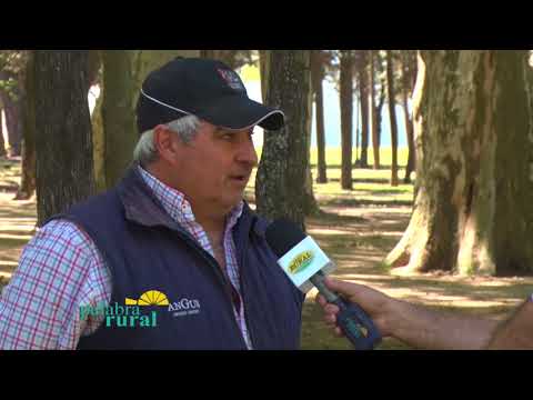 BLOQUE 3 PRUEBA PASTORIL