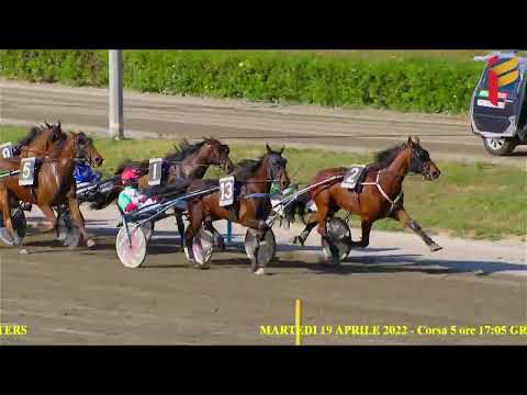 V Corsa del 19 Aprile 2022 - Cat. G - Metri 1600 - II Tris