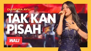 Download lagu TAKKAN PISAH (WALI) - DIANDRA AYU | Sate Dahlan Duwe Gawe | Ku kan memeluk, menciummu di Surga mp3