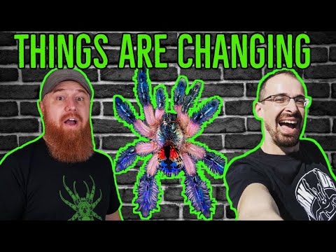 The Tarantula Hobby Is CHANGING! For BETTER & WORSE