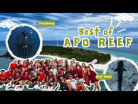 COMPLETE APO REEF TRAVEL VLOG WITH NORTH LUZON FREEDIVERS (EVERYTHING YOU NEED TO KNOW!)