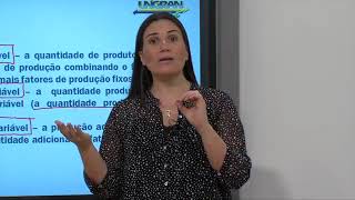 Teoria da Firma /  Parte 01