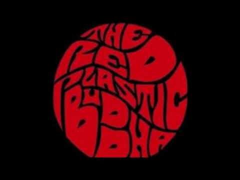 Red Plastic Buddha - I Had Too Much To Dream Last NIght (Electric Prunes)