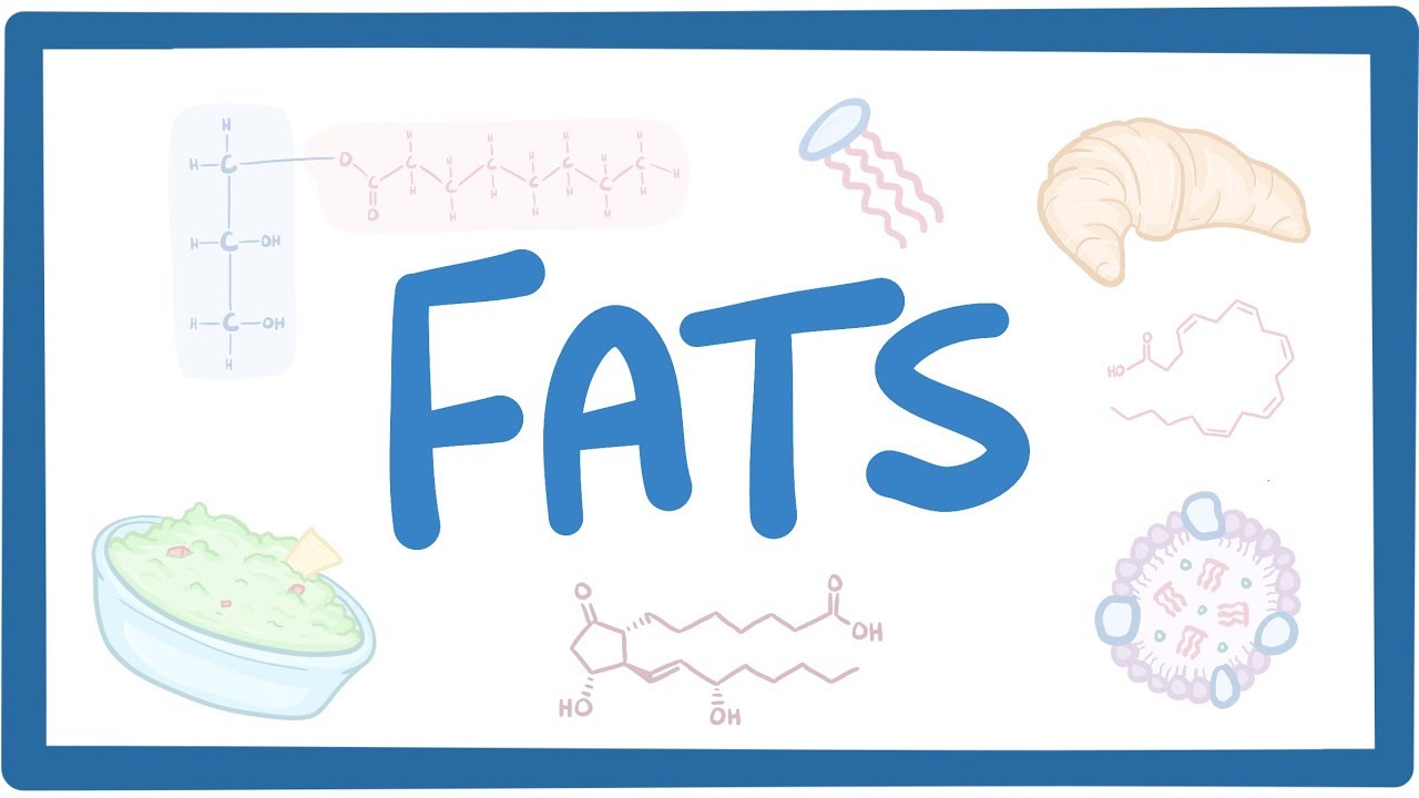 Fats - biochemistry