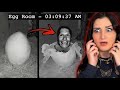 They Bought An EGG Off The Dark Web