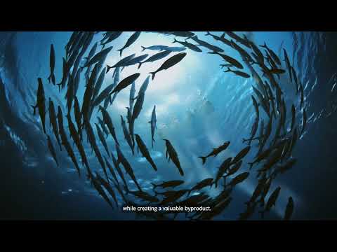 Explaining MediSun's WEGen Green Technology