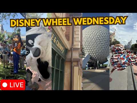 Live webcam of Disney Parks with Love