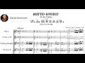 Mozart - Violin Concerto No. 3, K. 216 [Grumiaux]