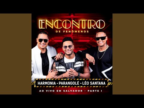 O Encontro (Ao Vivo)