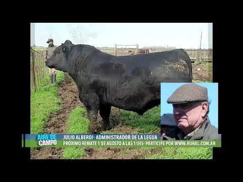 Reportaje a Julio Alberdi-Cabaña La Legua.