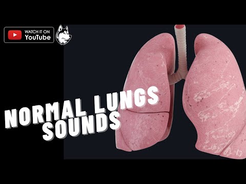 Respiratory - Normal Lung sounds (vesicular breath sounds) | Pocket guide