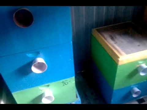 КАК СОХРАНИТЬ СУШЬ ДО СЛЕДУЮЩЕГО СЕЗОНА  ОТ МОЛИ  огневки и мышей.