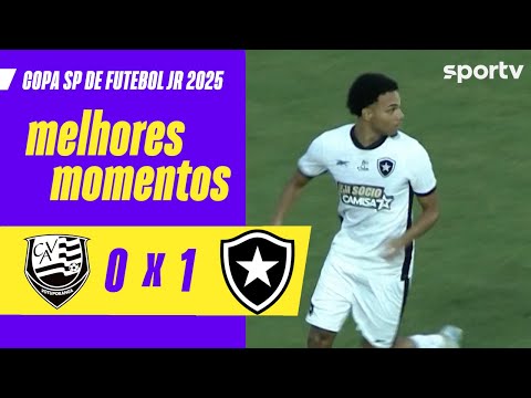 Gols e lances de Votuporanguense x Botafogo