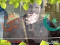 Rest In Peace Jaya Lalitha AmmA